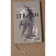 Jevgenij Ryss a Vsevolod Vojevodin - Strach